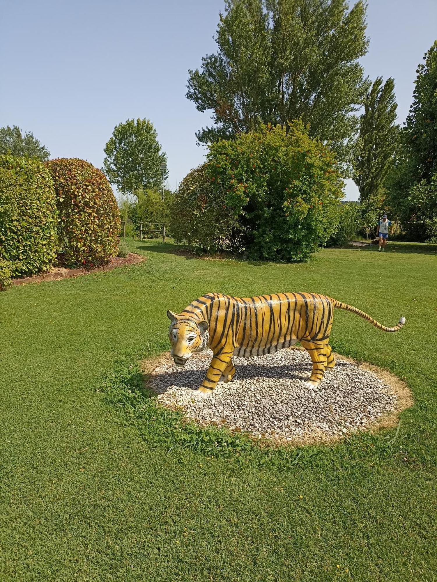 Piscina Privata Tiger Home, Toscana カパンノリ エクステリア 写真